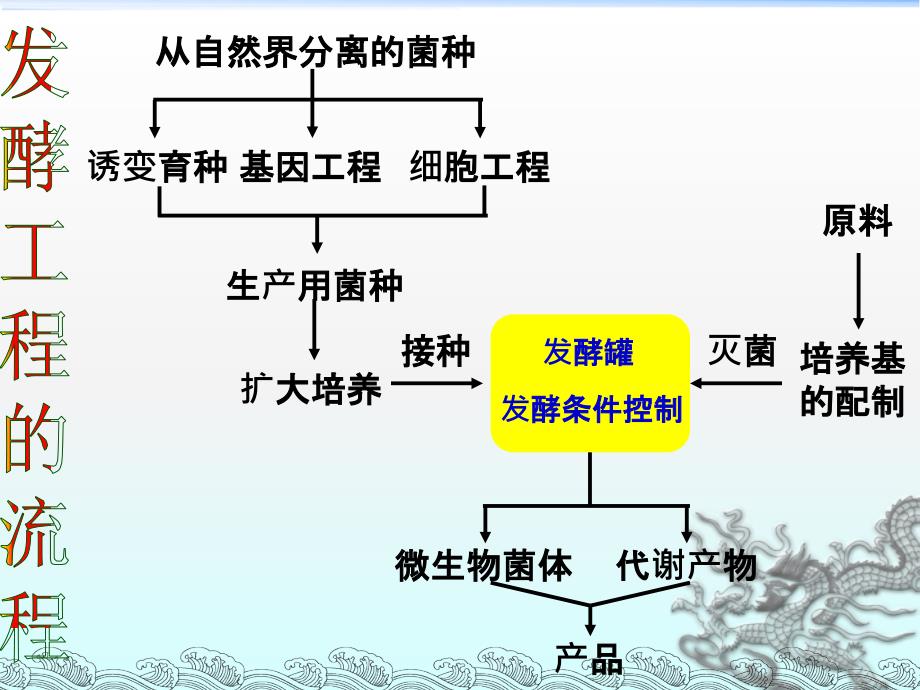 发酵流程.ppt_第3页