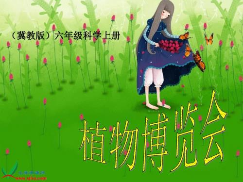 冀教版小学科学六年级上册第2课植物博览会课件.ppt