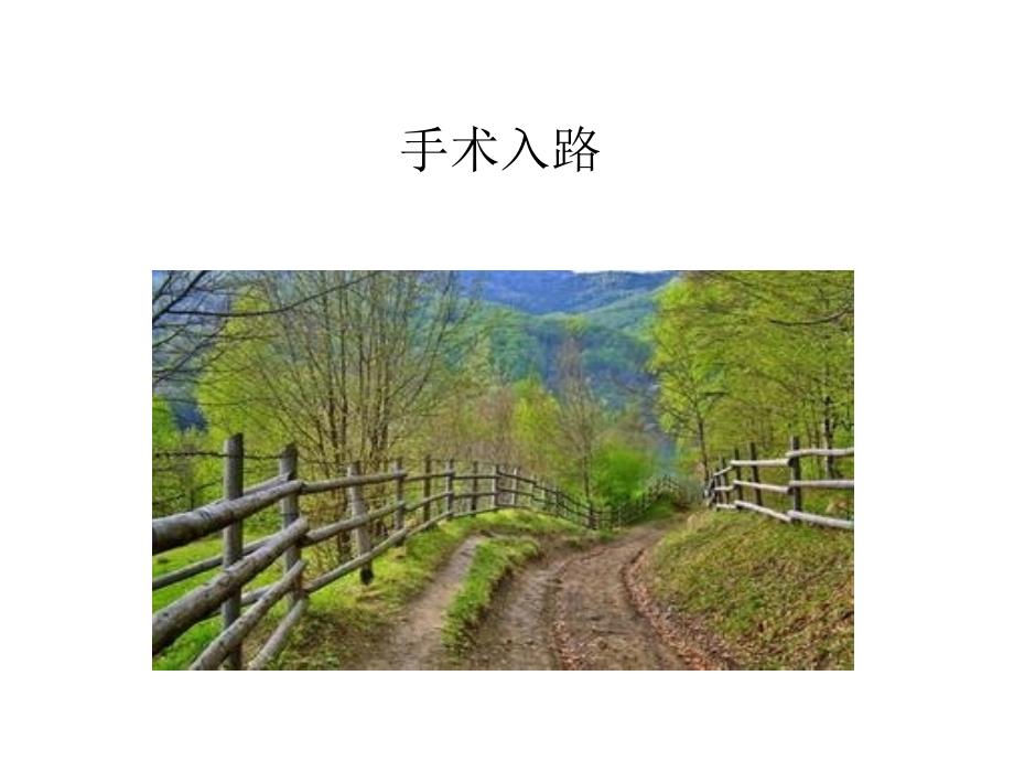 初次全髋关节置换手术技术要点.ppt_第2页