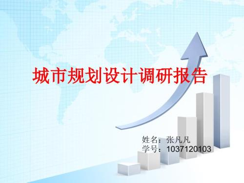 城市规划设计调研报告.ppt