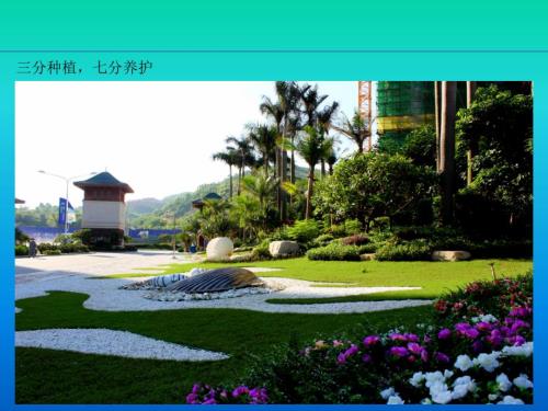 园林绿化日常养护指导PPT课件.ppt