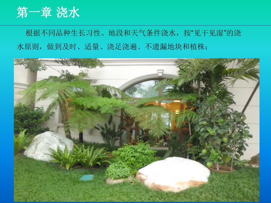 园林绿化日常养护指导PPT课件.ppt_第3页