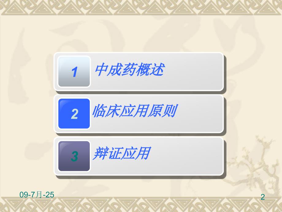 中成药的临床合理使用.ppt_第2页