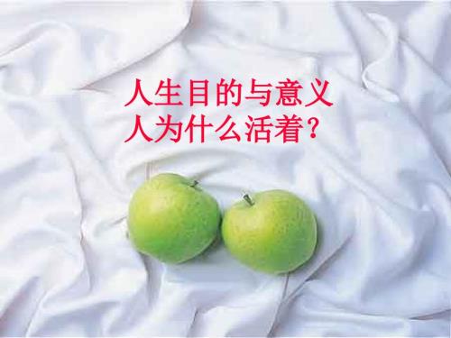 人生目的与意义PPT课件.ppt