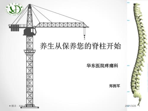 养生从保养您的脊柱开始PPT课件.ppt