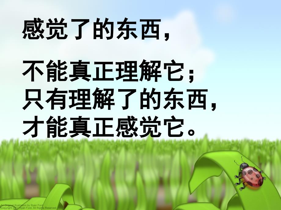传统文化与文化传统.ppt_第2页