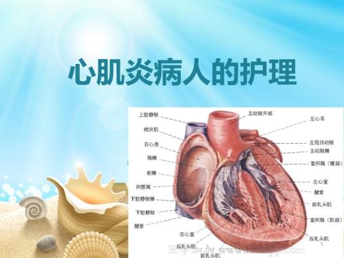 内护心肌炎病人的护理ppt课件.ppt