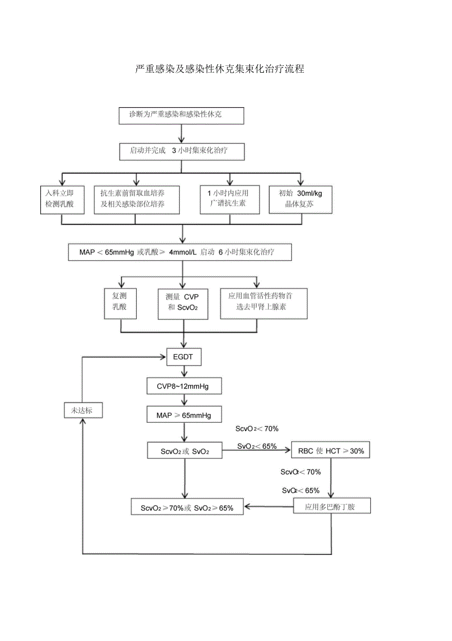 严重感染及感染性休克集束化治疗流程.docx_第1页