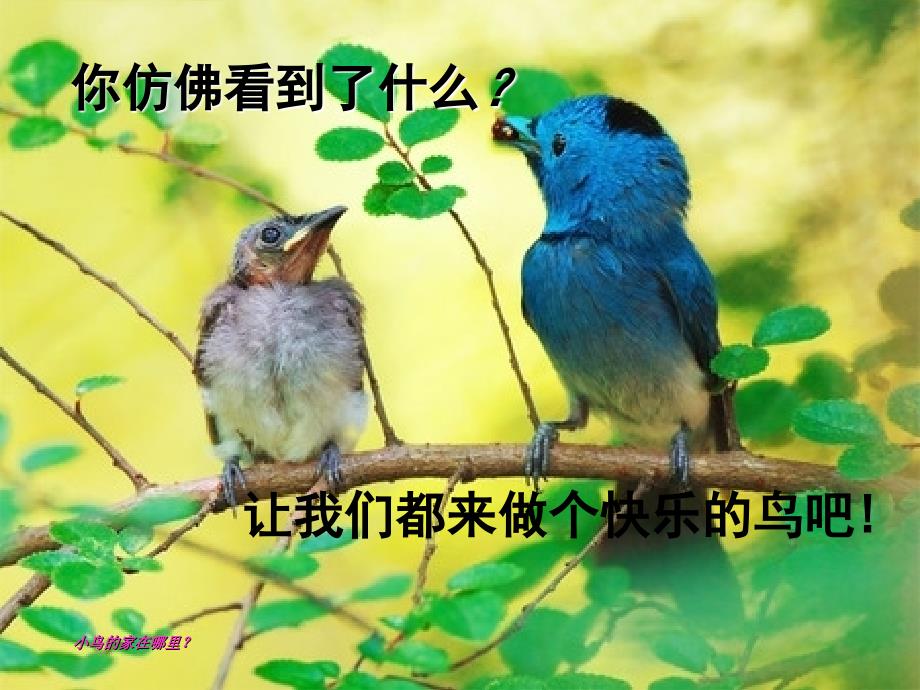 二年级美术小鸟的家课件.ppt_第2页
