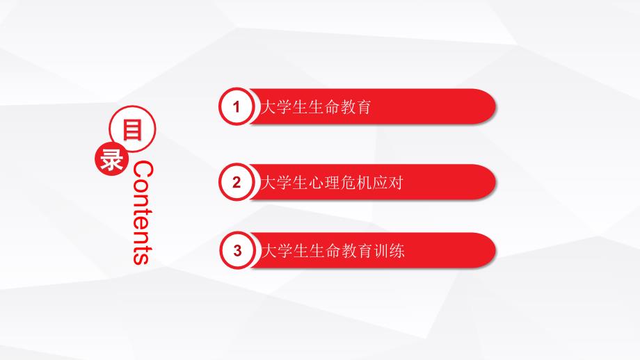 大学生生命教育与心理危机应对.ppt_第3页