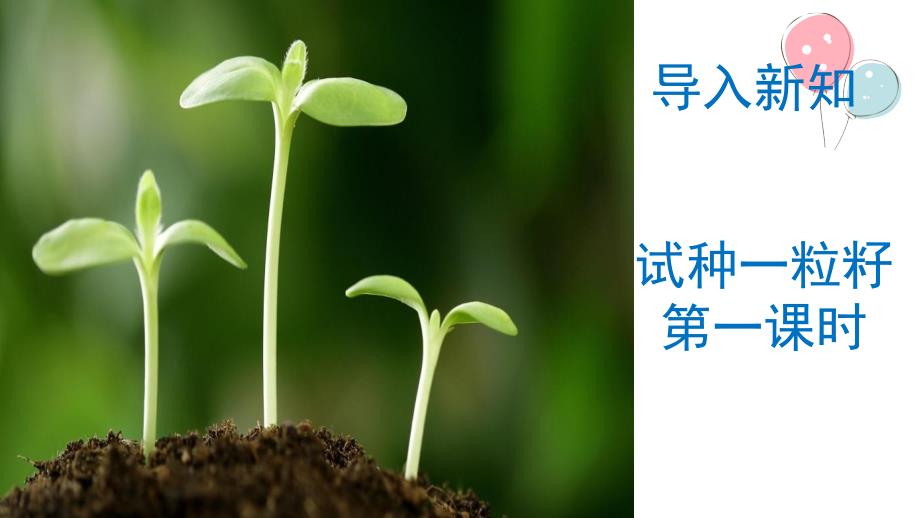 二下道法部编版道德与法治二年级下册课件4.试种一粒籽PPTppt课件.pptx_第2页