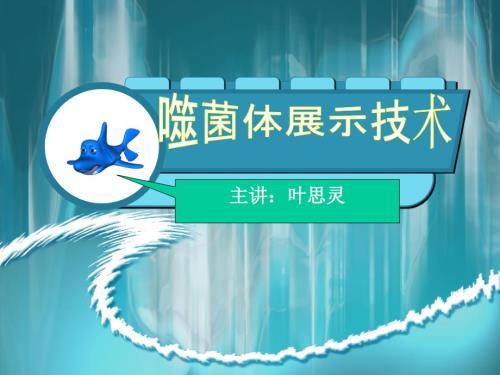 噬菌体展示技术.ppt