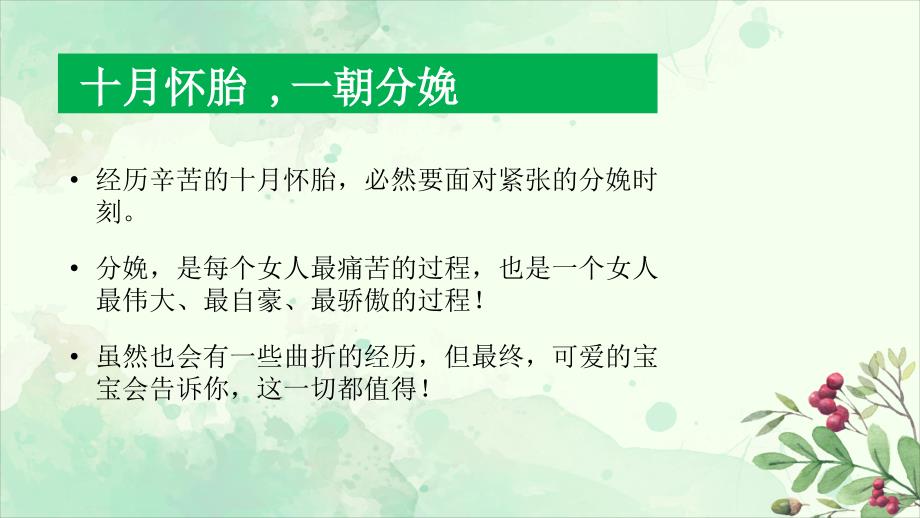 分娩方式的选择PPT课件.pptx_第2页