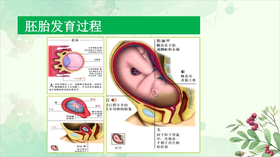 分娩方式的选择PPT课件.pptx_第3页