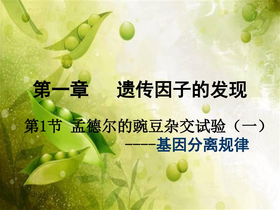 基因分离定律.ppt_第1页