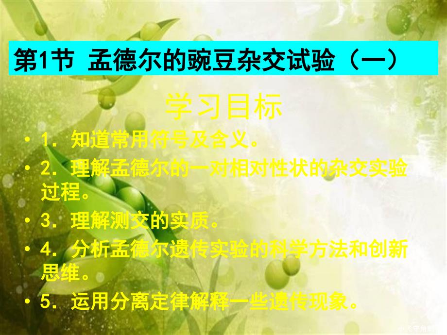 基因分离定律.ppt_第3页