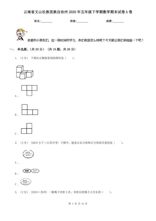 云南省文山壮族苗族自治州2020年五年级下学期数学期末试卷A卷.doc
