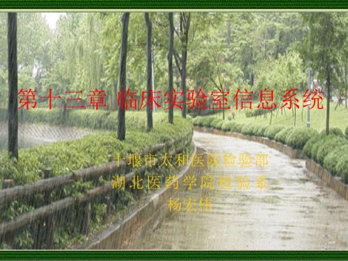 临床实验室信息系统ppt课件.ppt