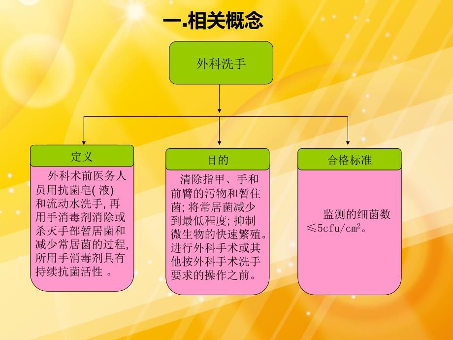 免刷式外科洗手法.ppt_第3页