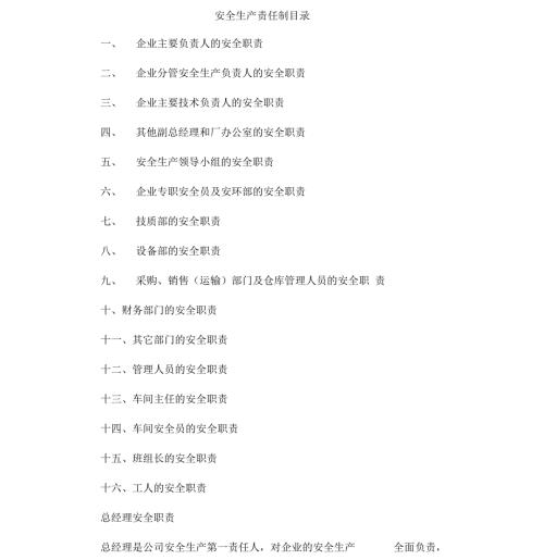 安全生产责任制清单及详细内容.docx