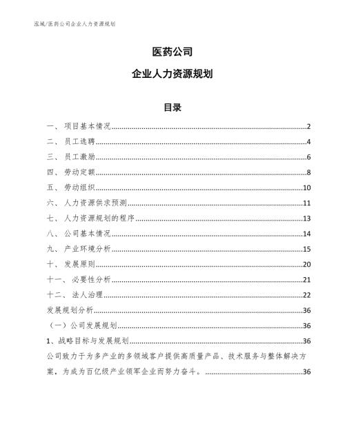 医药公司企业人力资源规划.docx