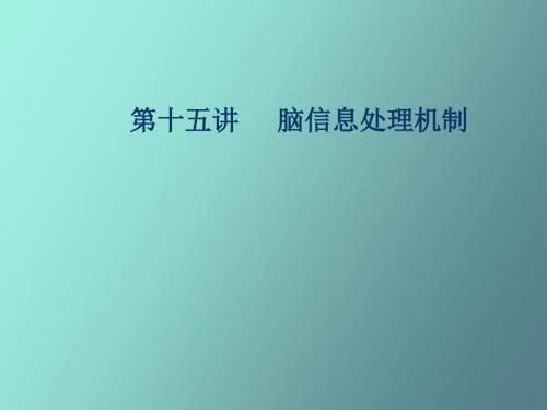 大脑信息处理.ppt