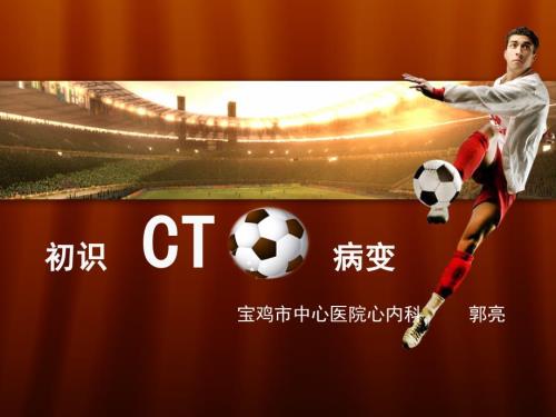 初识cto病变ppt课件.pptx
