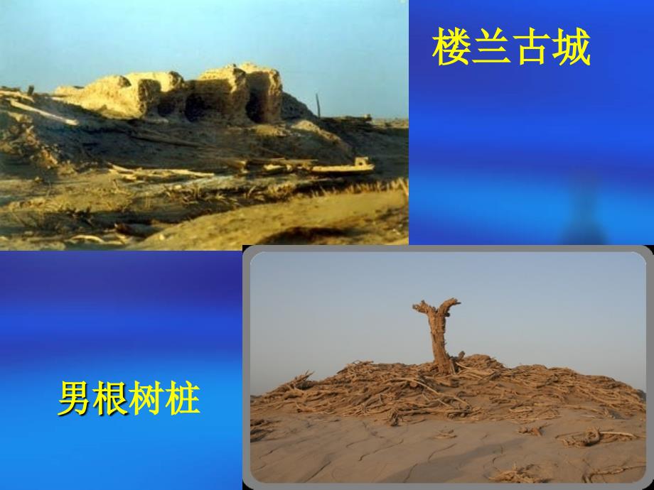 农村环境污染与治理.ppt_第3页
