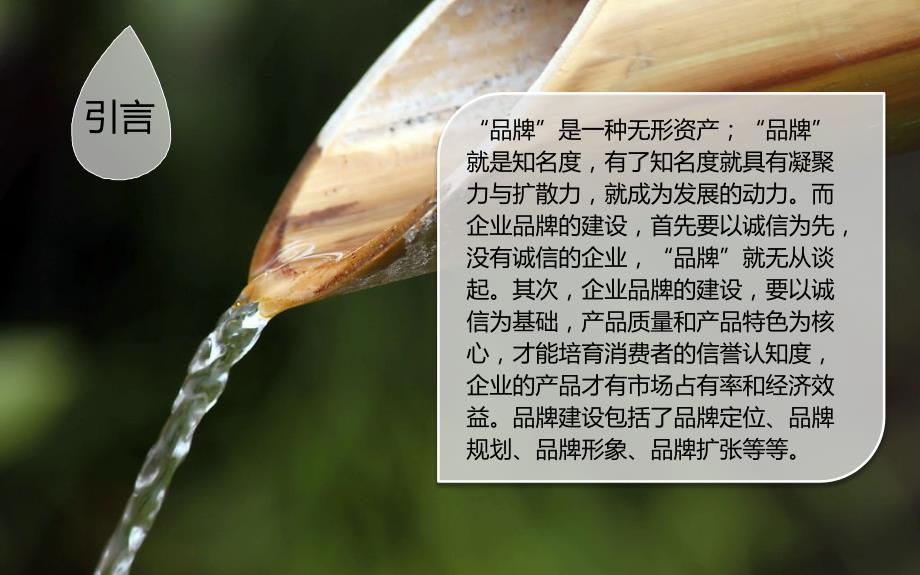 品牌建设方案PPT课件.pptx_第2页