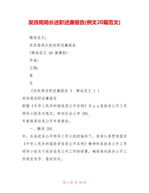 发改局局长述职述廉报告例文20篇范文.doc