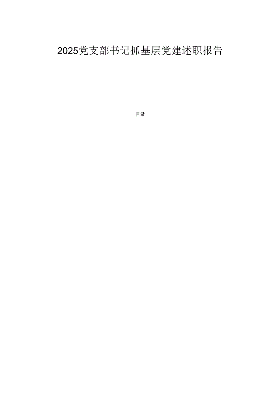 2025党支部书记抓基层党建述职报告 .docx_第1页