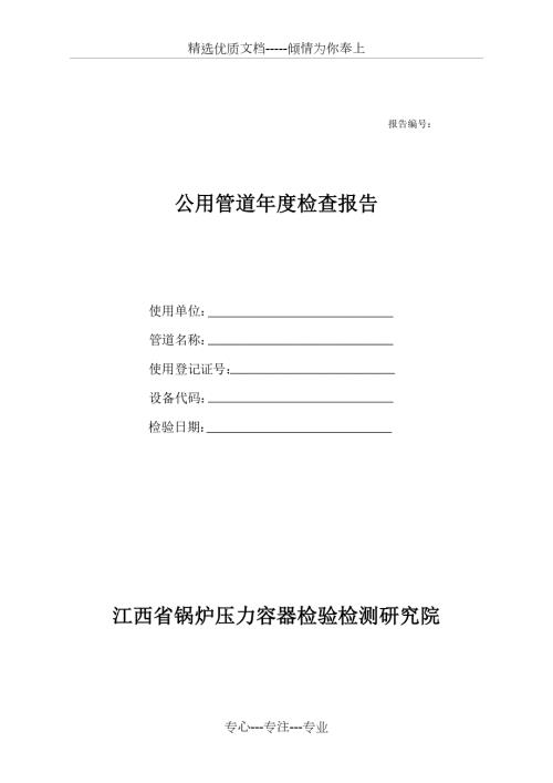 公用管道检查报告共31页.doc