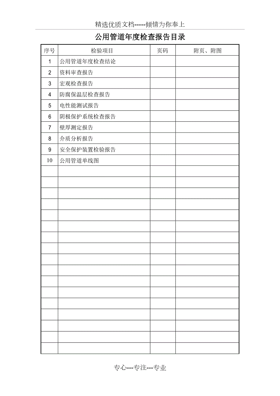 公用管道检查报告共31页.doc_第2页