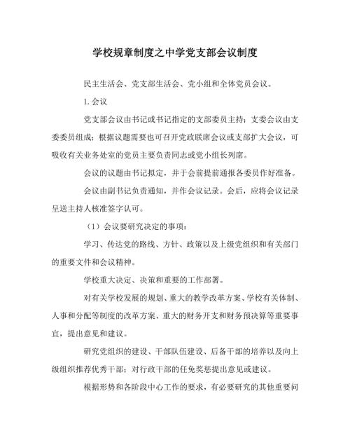 学校规章制度之中学党支部会议制度.doc