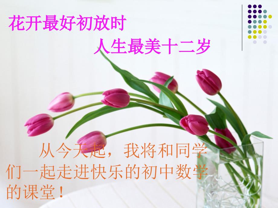 初中数学第一课.ppt_第1页