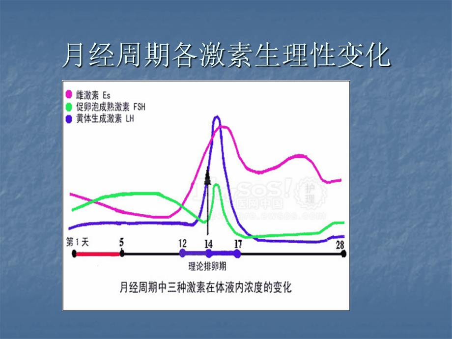促排方案PPT课件.pptx_第3页