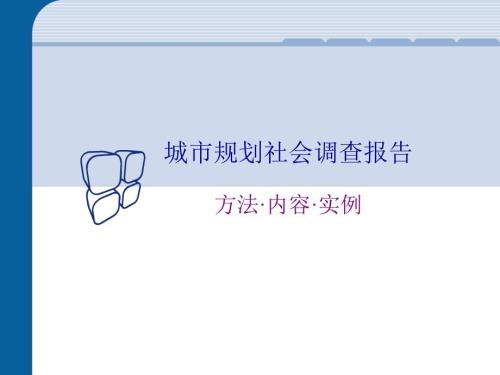 城市规划调研PPT课件.ppt