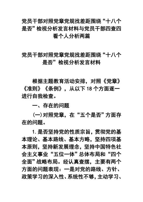 党员干部对照党章党规找差距围绕十八个是否检视分析发言材料与党员干部四查四看个人分析两篇.docx