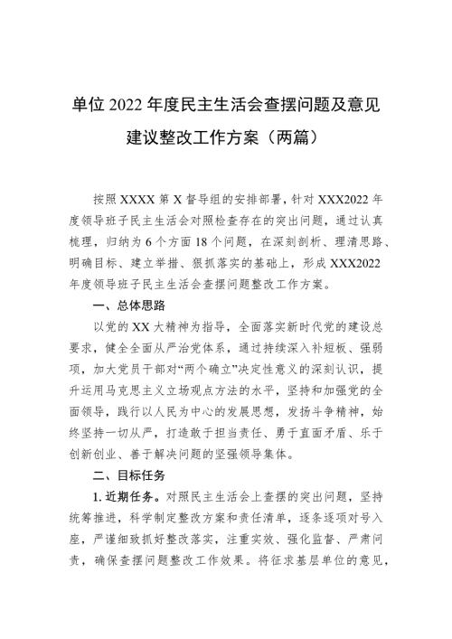 单位2022民主生活会查摆问题及意见建议整改工作方案两篇.docx