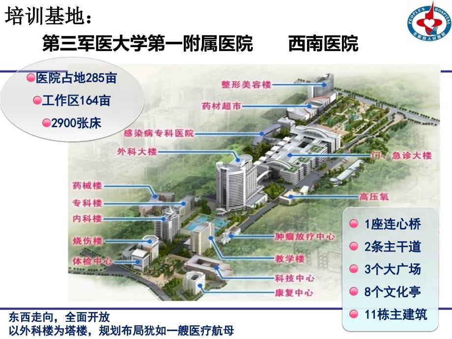临床药师进修结业汇报.ppt_第3页