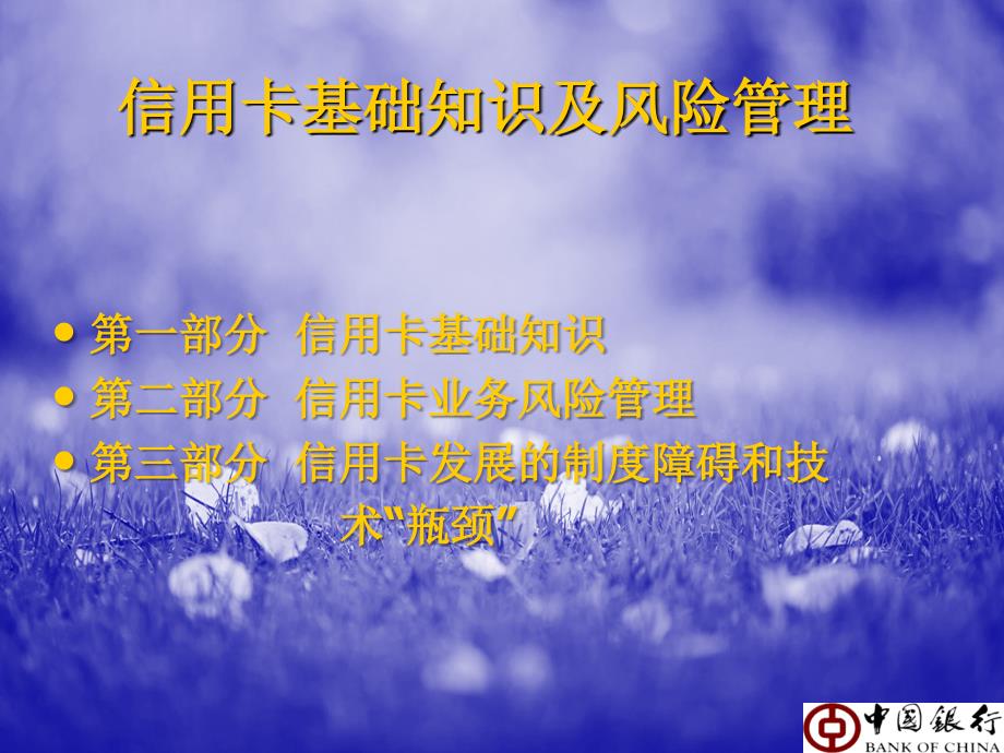 信用卡基础知识及风险管理.ppt.ppt_第2页