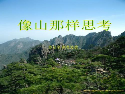 像山那样思考PPT课件.ppt