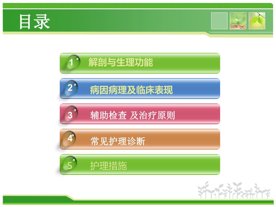 外科下肢静脉曲张ppt课件.ppt_第2页