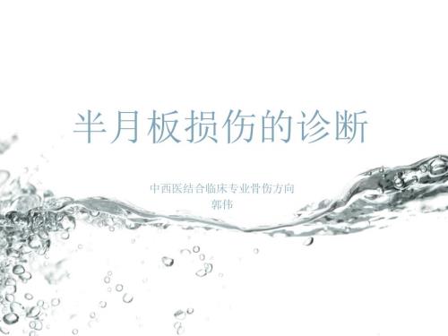 半板损伤诊断.ppt