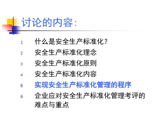 安全生产标准化培训.ppt