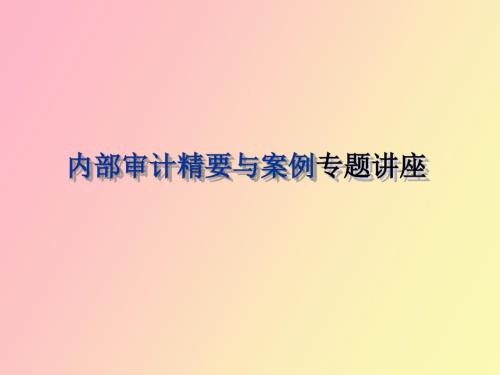 内审案例分析.ppt