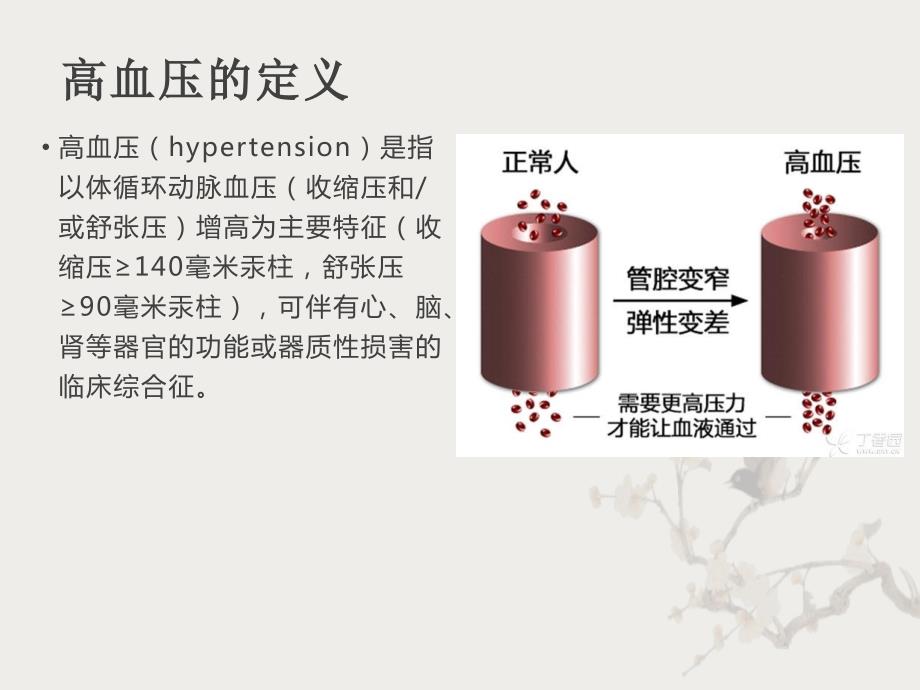 儿童高血压.ppt_第3页