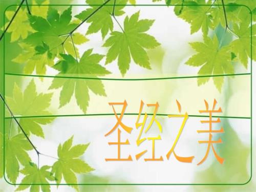 圣经中的经文之美.ppt