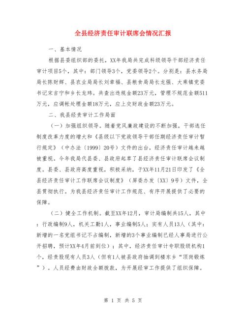 全县经济责任审计联席会情况汇报.doc