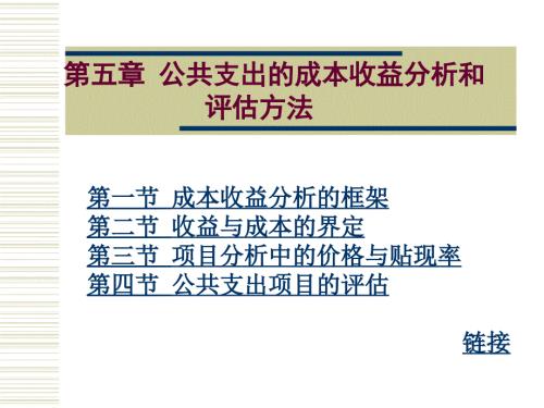 公共支出的成本收益分析和评估方法.ppt